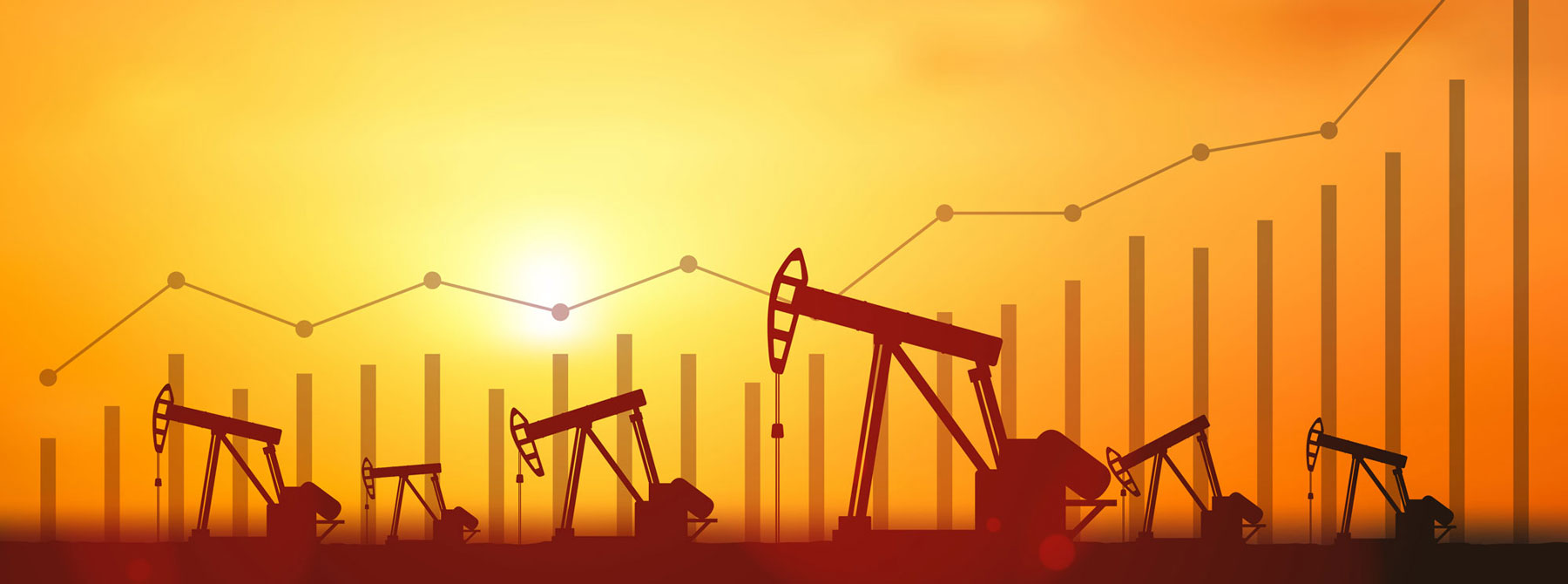 banner.jpg banner.jpg