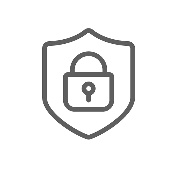 Security icon
