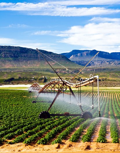 Smart irrigation system