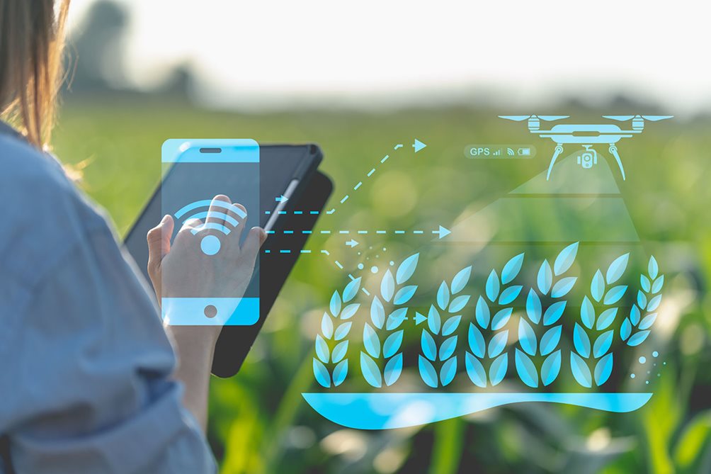 Monitoring crops with drones